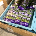 八紘学園 農産物直売所 - 【2016年04月】売場：サラダ系のほうれん草。