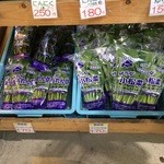 八紘学園 農産物直売所 - 【2016年04月】売場：サラダ系野菜のコーナー。