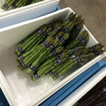 八紘学園 農産物直売所 - 【2016年04月】アスパラ、いよいよシーズンですね(^^♪