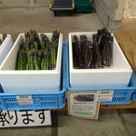 八紘学園 農産物直売所 - 【2016年04月】右は紫アスパラ、左はノーマルアスパラ、ホワイトも有りましたよ。