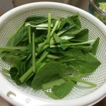 八紘学園 農産物直売所 - 【2016年04月】サラダ小松菜。