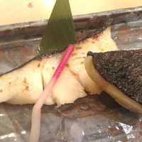 季節料理 姿 - 銀だら西京焼き