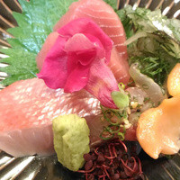 季節料理 姿 - 造り盛合せ