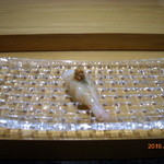 群来膳 - ボタンエビ