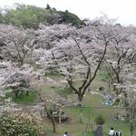 北海道らーめん 小林屋 - 「飯山白山森林公園」