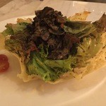 Alfred - 2016年4月中旬。