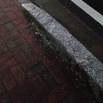 麺屋 八感 - 乗り上げて、結構削れている。( ^^;; ご注意を。