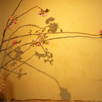 祇園もりわき - 