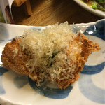 Shikisai Kasa I - 寄せ豆腐の厚揚げ