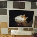 鹿教湯 三水館 - 初代の看板猫はお亡くなりになっていました