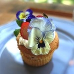 ソビノワ - 苺の春ケーキ