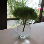 クラリタ ダ マリッティマ - 