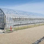 ツジグチファーム - ファーム全体