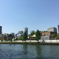 ボーン グランデ アリア - 
