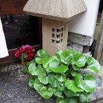 魚栄 - 玄関の佇まい。芍薬？がいい感じ♪