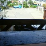 石井珈琲店 - 開放感あります☆