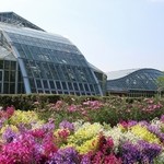 トコハベーカリー - 府立植物園！！(^_-)-☆