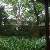 シェ・モルチェ - 