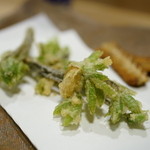 うを徳 - 2016.4 信州コシアブラ 天ぷら