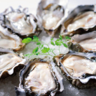 【1粒299円～！】焼きでも蒸しでもこのお値段◎お手頃な牡蠣