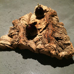 フロリレージュ - 巨峰