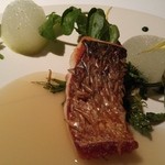 ブレストンコート ユカワタン - 信濃雪鱒