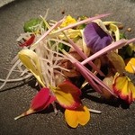 ブレストンコート ユカワタン - 鹿と米