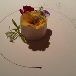 ブレストンコート ユカワタン - 白銀の鯉