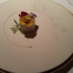 ブレストンコート ユカワタン - 白銀の鯉