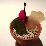 ブレストンコート ユカワタン - 彩り