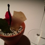 ブレストンコート ユカワタン - 彩り