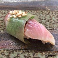 寿司割烹 魚紋 - 〆鯖 白板昆布