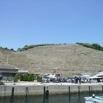 愛南 市場食堂 - 遊子の段畑。