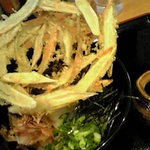 満月 - ごぼう天ぶっかけ670円+大盛り100円+とりそぼろ200円