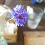 cafe serendipity - テーブルの花