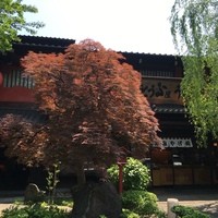 とうふ屋うかい 鷺沼店 - 