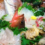 民宿いけだ - ピッチピチのお刺身です