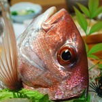 民宿いけだ - この鯛の見事な色鮮やかさにウットリ(*´∀｀*)