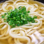 やま家 - かけうどん  ズーム