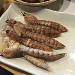 漁火 - シャコ❗️