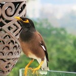 Centara Blue Marine Resort & Spa - 