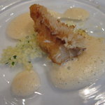 サーラ アマービレ - （10.9月）