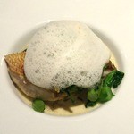 甘鯛の鱗焼きと春キャベツ　ソース名失念