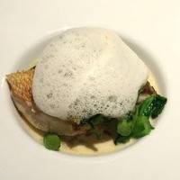 Lien - 甘鯛の鱗焼きと春キャベツ　ソース名失念