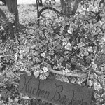 クーヘン バッケン - クーヘンバッケン