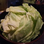 ホルモン家 - キャベツです