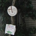 キラキラカフェ とねりこ - けやき通りの柳川屋の左にある木に、この看板が掛けられています