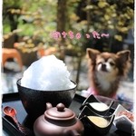 阿左美冷蔵 - テラス席はペット同伴OK！