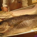 鯛良 六本木店 - 