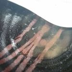 雁木 - 完飲♪胃もたれも胸焼けも一切なし！！！